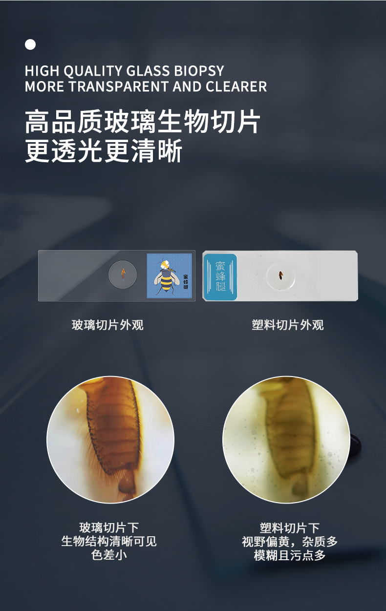 micro-world微观世界